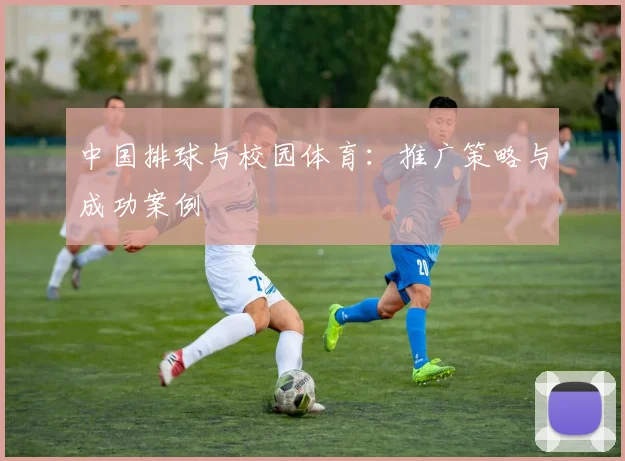 中国排球与校园体育：推广策略与成功案例