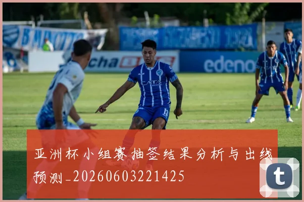 亚洲杯小组赛抽签结果分析与出线预测_20260603221425