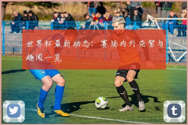 世界杯最新动态：赛场内外花絮与趣闻一览