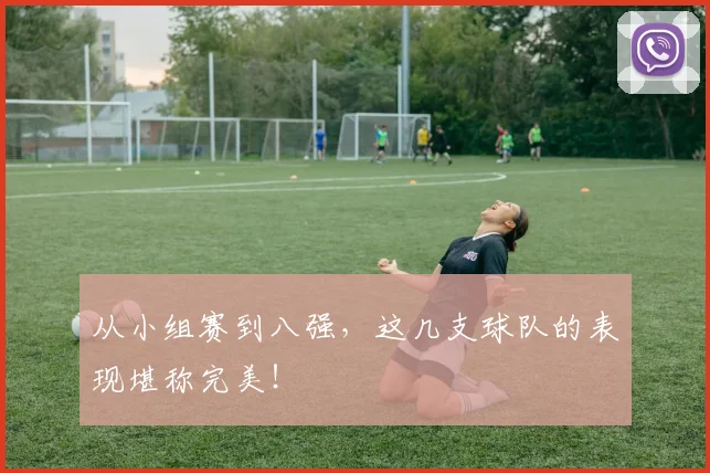 从小组赛到八强，这几支球队的表现堪称完美！
