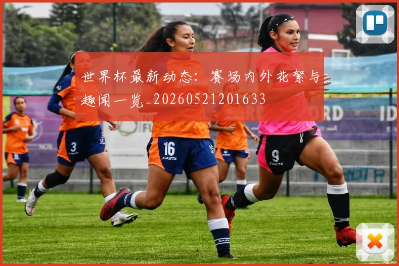 世界杯最新动态：赛场内外花絮与趣闻一览_20260521201633