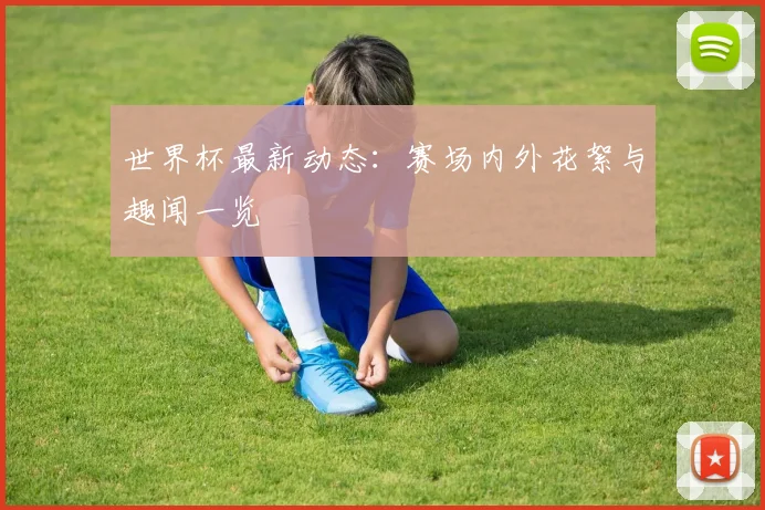 世界杯最新动态：赛场内外花絮与趣闻一览